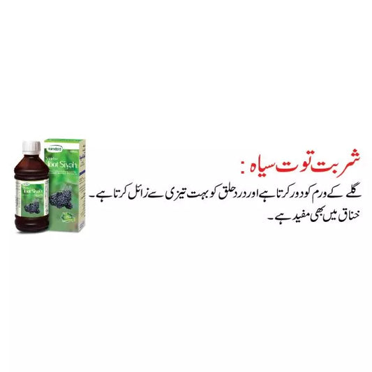 Sharbat Toot Siyah - 120 ml