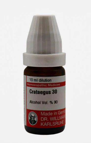 Crataegus Oxy