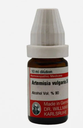 Artemisia Vulgaris
