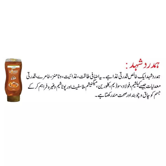 Honey - 480 gm Bottle