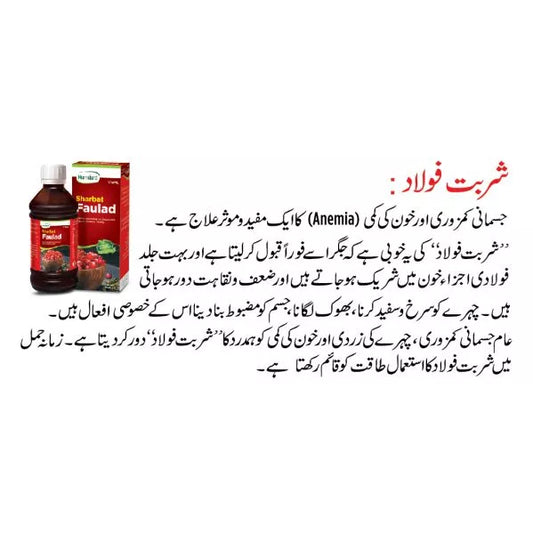 Sharbat Faulad - 175 ml