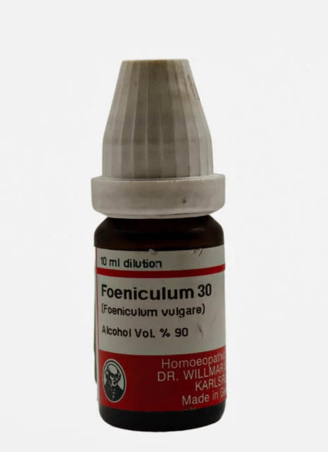 Foeniculum