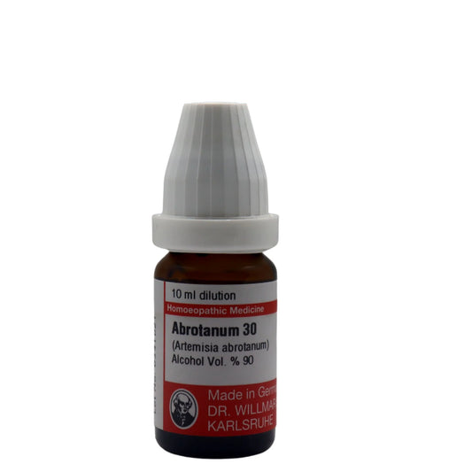 Abrotanum