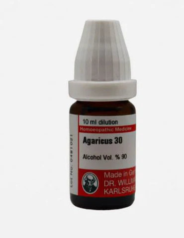 Agaricus musc