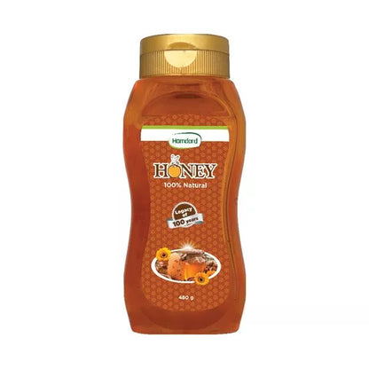 Honey - 480 gm Bottle