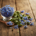 Borage (Gao Zaban/Borago Officinalis) dried blue star-shaped flowers and green leaves on wooden surface with glass bowl and wooden spoon