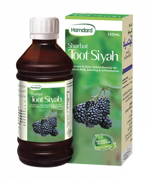 Sharbat Toot Siyah - 120 ml